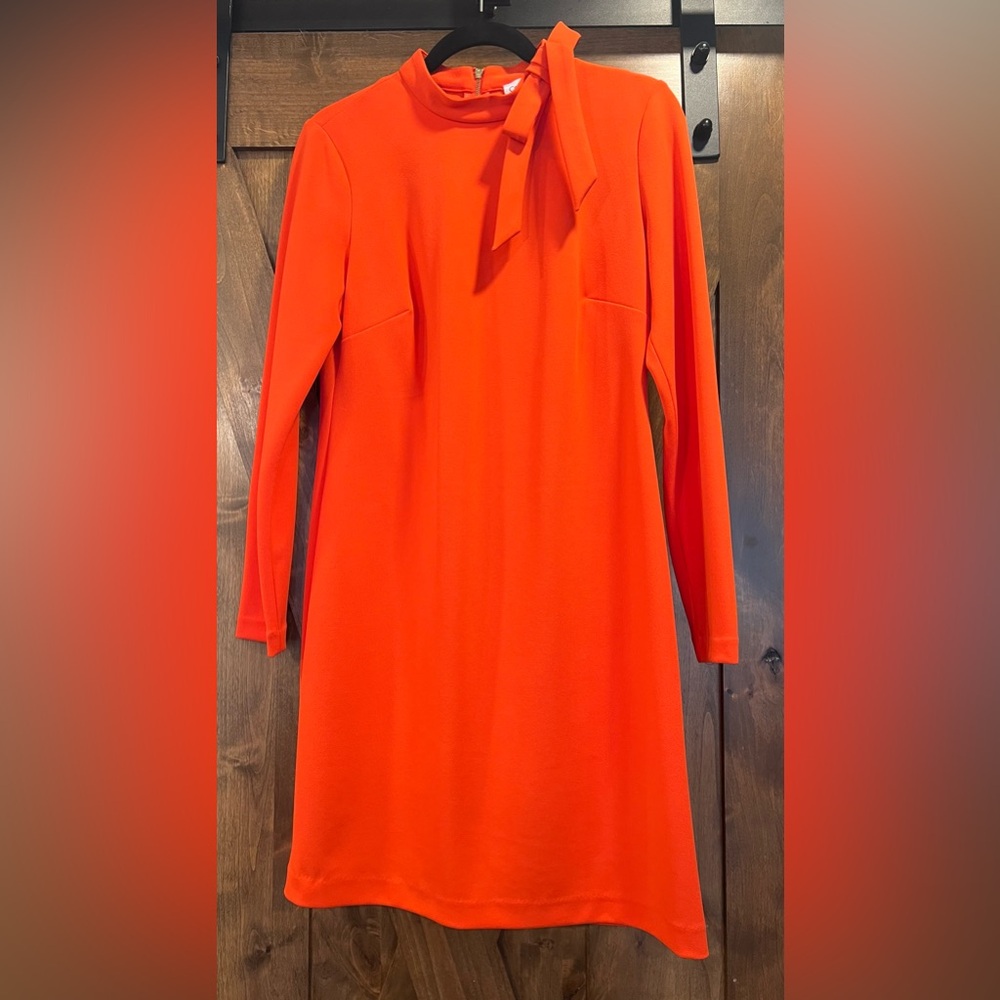 Elegant Long-Sleeve Dress